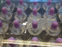 Box of 24 Crystal Bubbles by Apac, Great for Weddi
