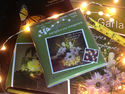Apac Packaging box of 12 Light Garland's 18 Batter
