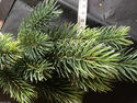  Artificial Pine Spray 50cm Great for Decorative C