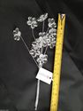 WFCJ0138Acrylic Daisy spray pick on silver wire Gr