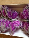 Purple with Silver Glittered detail  Feather Butte