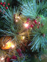 Apac Packaging box of 12 Light Garland's 18 Batter