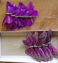Purple with Silver Glittered detail  Feather Butte