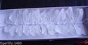 White Feather Butterflies on fine wire pack of 12 
