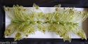 Apac New Design FE3166 7cm Green Gauze Butterflies