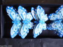 FE3159 9cm Blue Feather Butterflies with painted d
