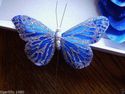 Royal Blue with Silver Glittered detail  Feather B
