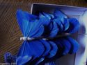 Royal Blue with Silver Glittered detail  Feather B
