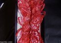 Apac New Design FE3133 Red Gauze Butterflies box o