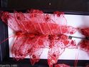 Apac New Design FE3164 7cm Red Gauze Butterflies b