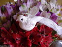 Decorative Glittered Bird's on clip's,pack of 3. G