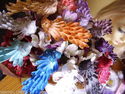 Decorative Bird's on clip's,pack of 3 choice of co