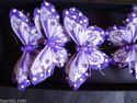 FE3160 9cm Purple Feather Butterflies with painted