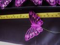 FE3152 Hot Pink Glittered detail Cotton Butterflie