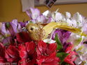 Decorative Glittered Bird's on clip's,pack of 3. G