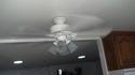 Hunter 44 in. The Continental White Ceiling Fan PP