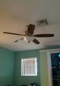 Hampton Bay Southwind 52 in. Brushed Nickel Ceilin