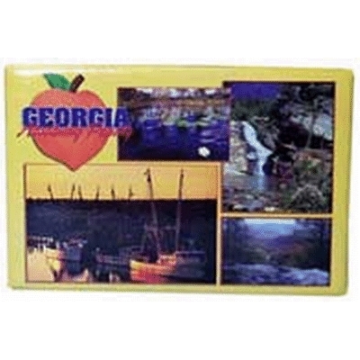 Georgia Magnet P/C Ga 4V Case Pack 96