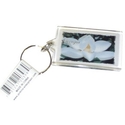 Click here to view item details