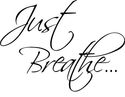 Just Breathe  Vinyl Home Wall Decal Decor Sticker