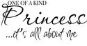 ONE OF A KIND Princess Vinyl Wall Home Decor Decal