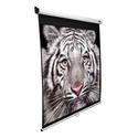 120"""" Manual Pull down Screen