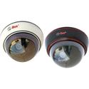 2 Pk Dome Decoy Cameras
