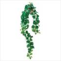Click here to view item details
