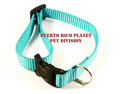 Economy Large Nylon  Dog Collar - Reinforced Durab