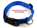 Economy Medium Nylon Dog Collar - Reinforced Durab