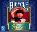 Bicycle cards - skat