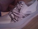 STEVE MADDEN SHOES : HAND DESIGNED BY NICKY DANGER