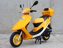 50 cc Gas Moped Scooter FREE Trunk One Year engine