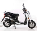 Taotao CY50-A 50 cc Gas Scooter - 10" Metal Wheel 