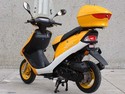 50 cc Gas Moped Scooter FREE Trunk One Year engine