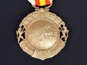 Spain medal for merit in campaign Franco EXTREMELY