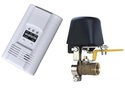 Vehicle gas detector DC12v gas alarm with manipula