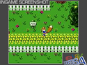 Conker's Pocket Tales - Gameboy Color (Rare)