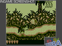 Donkey Kong Land - Game Boy Color (Rare)