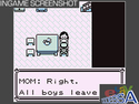 Pokemon Blue Version - Gameboy Color (Rare)