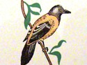 Hunting Bird Collectible Antique Match Front Strik