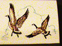 Hunting Bird Collectible Antique Match Front Strik