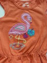 2 Piece Garanimals/Carter's Orange Flamingo Outfit