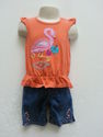 2 Piece Garanimals/Carter's Orange Flamingo Outfit