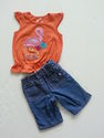 2 Piece Garanimals/Carter's Orange Flamingo Outfit