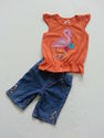 2 Piece Garanimals/Carter's Orange Flamingo Outfit