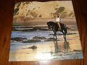 ALBUM - JOHN DENVER " WINDSONG " 1975 IN EXC. COND