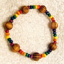 Rainbow Pride Chakra Wooden Beads Stretchy Bracele