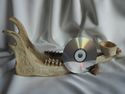 Antique Carved Hunt Trophy Deer Antler Stag Skull 