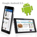 Tablet PC-Android 2.3 VC882 PPC 512M/4G with 8 inc